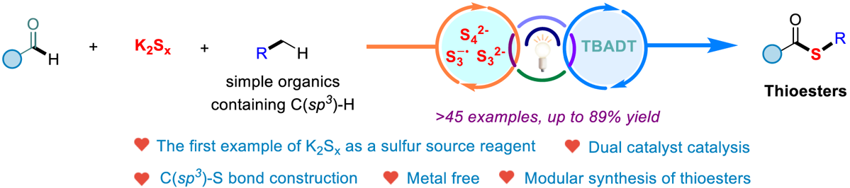 da887f9508ae4ef68937181b9953103c.png da887f9508ae4ef68937181b9953103c.png